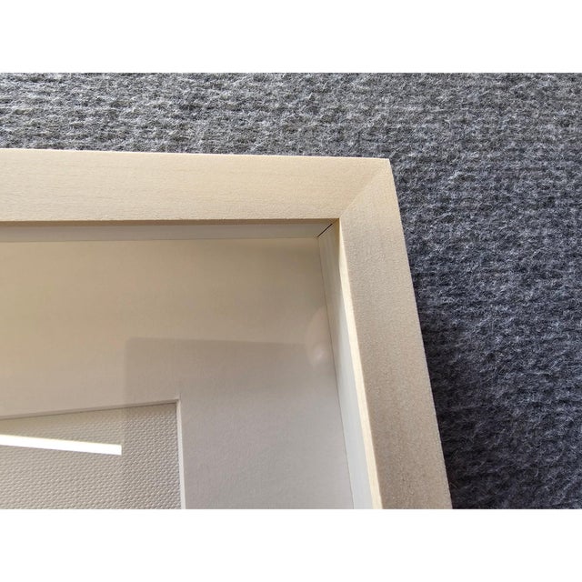 Set of 6 - Cy Twombly Inspired Shadow Box Framed Botanic Oil Paintings by Diane Grant For Sale - Image 9 of 11