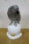 Antique 1925 Hutschenreuther Fritz Klee African Gray Parrot Porcelain Figurine For Sale - Image 6 of 13