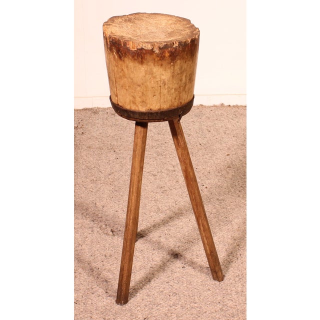 19th Century Brown Poultry Block For Sale - Image 9 of 9