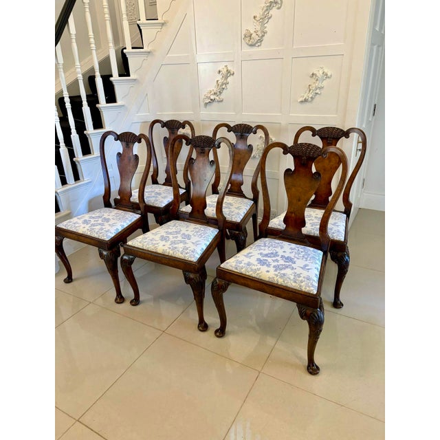 Antique Victorian Carved Dining Chairs in Burr Walnut, 1880, Set of 6 For Sale - Image 15 of 15