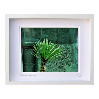 Limited Edition Framed Photography by C. Damien Fox For Sale