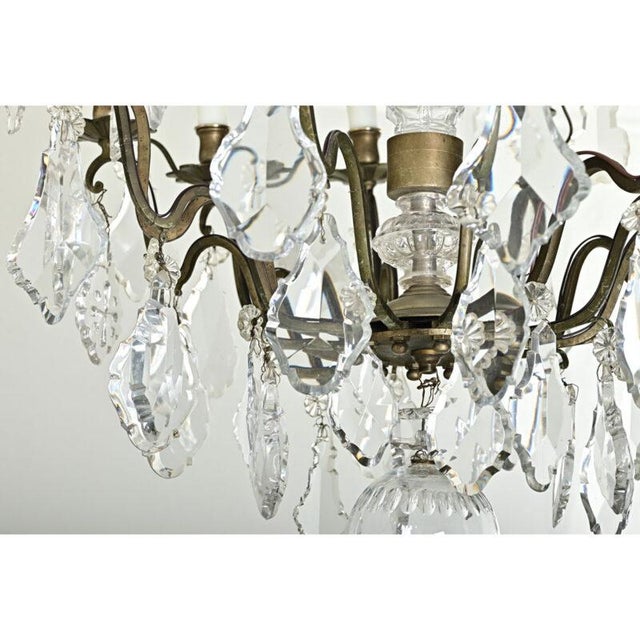 French 19th Century Louis XVI Style Chandelier For Sale - Image 12 of 12