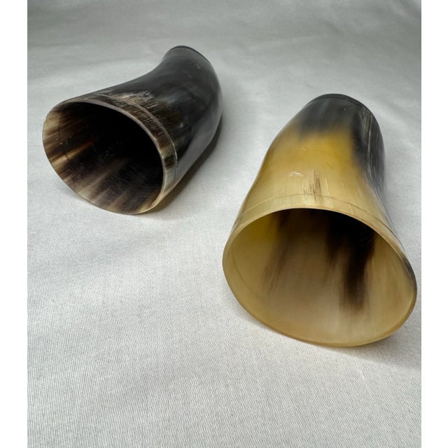 Bone Pair of Rustic European Horn Vases For Sale - Image 7 of 12