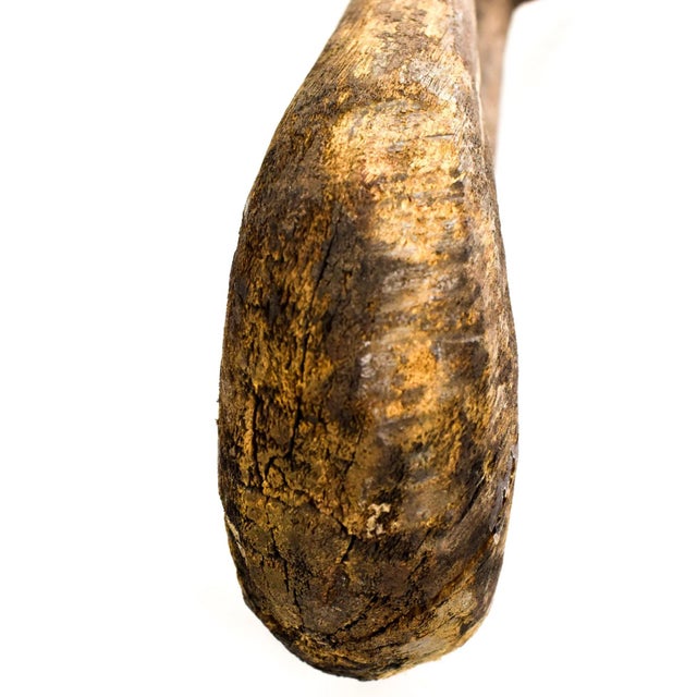 Early 20th Century Early 20th Century Senufo Gurunsi Bird Figure 48 Inch Côte d'Ivoire For Sale - Image 5 of 6