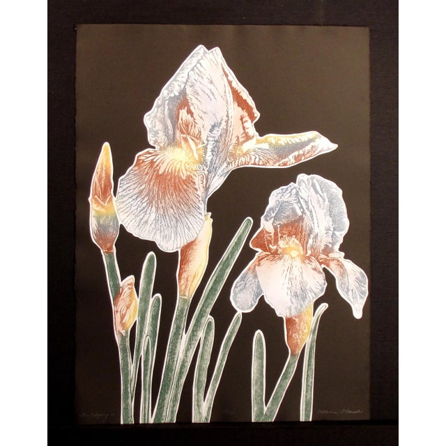 Catherine O'Connor "Iris Odyssey II (Black)" Hand Signed Etching Floral Artwork For Sale - Image 4 of 5