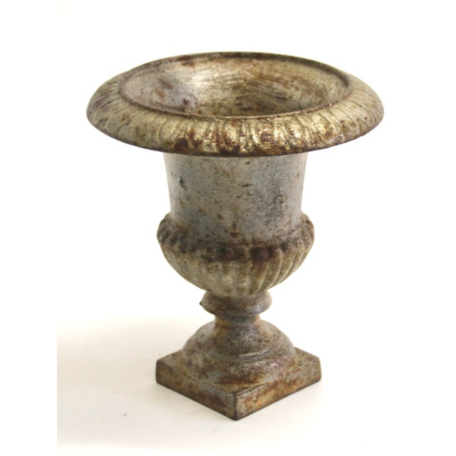 Small Vintage French Cast Iron Urn Planter, 1920s For Sale - Image 4 of 8