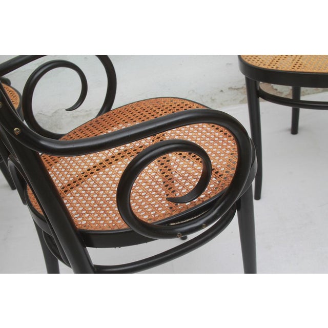 Wood Model 207 R Chairs by Michael Thonet for Thonet, 2000, Set of 6 For Sale - Image 7 of 16