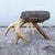 Early 20th Century Early 20th Century American Rustic Deer Antler Footstool For Sale - Image 5 of 8