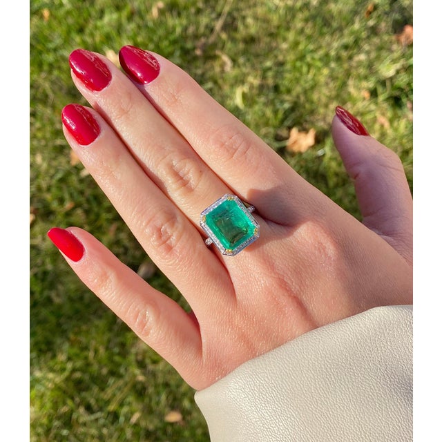 8 carat Colombian Emerald in 18K White Gold Diamond Halo Ring, Size 7 For Sale In Miami - Image 6 of 6