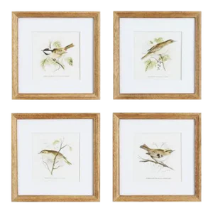Perching Bird Study Petite in Wood Frames, Set Of 4
