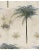 Mind the Gap Cayo Largo Wallpaper For Sale