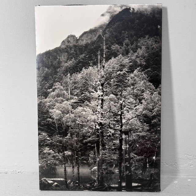 Noriko Saito, Kamigōchi Shin-Ni Pond, 1980s, Photographic Print, Framed For Sale - Image 6 of 6