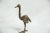 :: Vintage African sculpture of an ostrich made approximately 40-70 years ago. Each figure in this collection represents a...