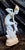 Art Deco Porcelain Figurine Dancer by Günthersfeld, 1920s, in Very Good conditions. Designed 1920 to 1949 This piece has...