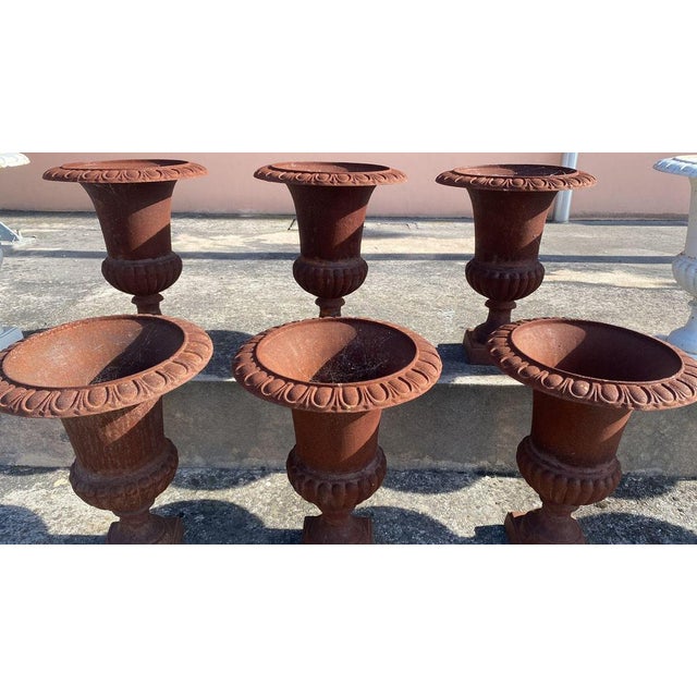 Metal Medici Vases in Cast Iron, 1850, Set of 6 For Sale - Image 7 of 8