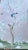 Paper 24" *53"/Panel, a Set of 2 Panels Pink Chinoiserie Printed Wallpaper Panels, For Sale - Image 7 of 7