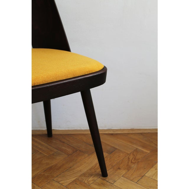 Mid-Century Dining Chairs by Oswald Haerdtl for Ton, 1959, Set of 4 For Sale - Image 12 of 18