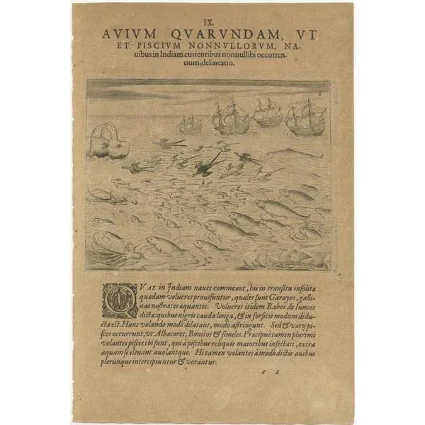 Paper De Bry, Maritime Life and Flora, 1601, Paper For Sale - Image 7 of 9