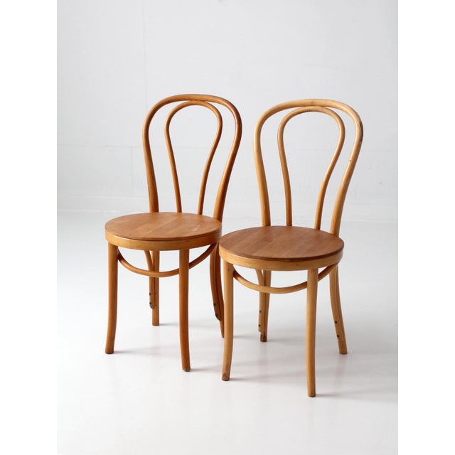 Mid-Century Modern Vintage ZPM Radomsko Bentwood Cafe Chairs Pair For Sale - Image 3 of 17