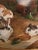 Wood "Rabbits at Rest" Oil on Canvas by Hegel For Sale - Image 7 of 11