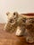 Contemporary Brazilian Indigenous Waujá Waurá Handmade Jaguar Pottery Bowl For Sale - Image 3 of 8