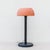 Orca Virtuosa Floor Lamp by Örni Halloween for Artemide, 1976 For Sale - Image 3 of 14