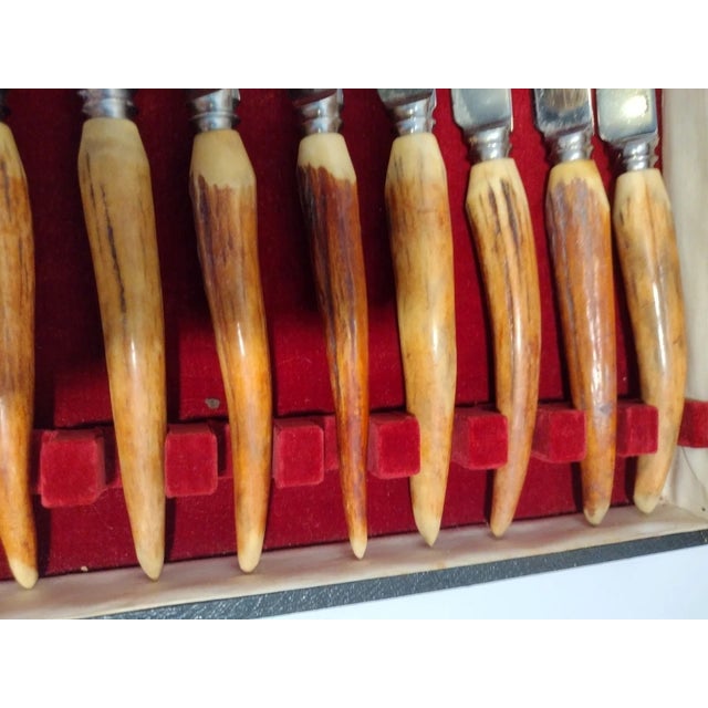 Sheffield Taylor Witness Sheffield 16pc Stainless Steak Knife Fork Set, Stag Wood With Case For Sale - Image 4 of 12