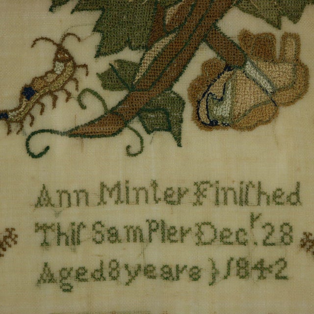 Mid 19th Century Antique Sampler, 1842, by Ann Minter Aged 8 Years For Sale - Image 5 of 17