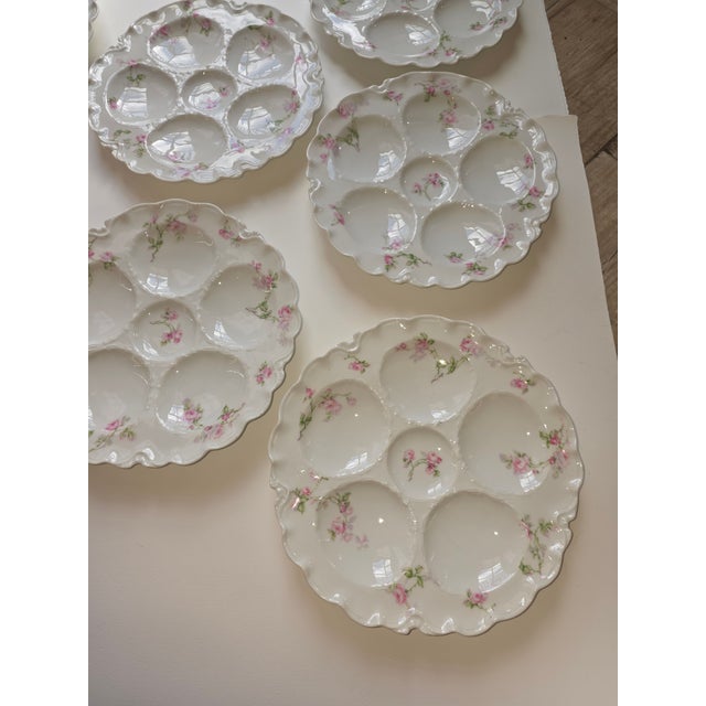 1920s Oyster Plates Collection of Eight French Haviland Limoges For Sale - Image 5 of 9