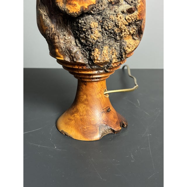Mid-Century Brutalist Sculptural Table Lamp in Burl Wood, France, 1960s For Sale - Image 11 of 14