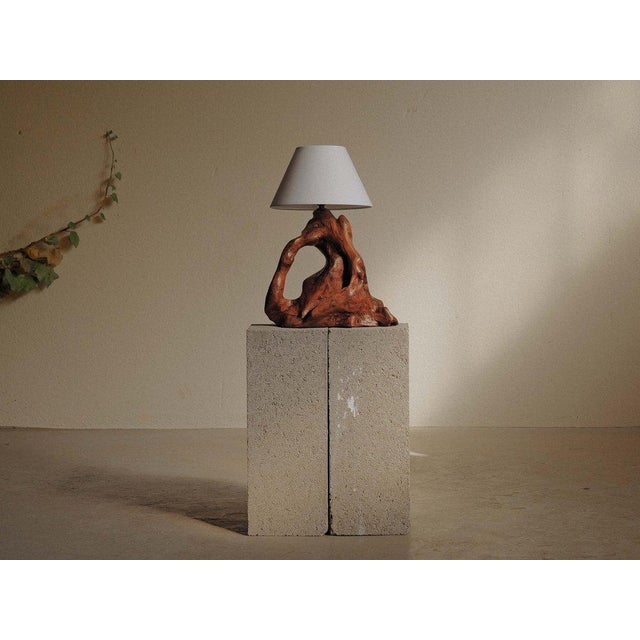 Sculptural Olive Wood Table Lamp, 1960 For Sale - Image 4 of 12