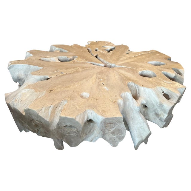 Andrianna Shamaris Bleached Teak Wood Organic Coffee Table For Sale - Image 15 of 18