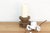 Antique Indian Nandi Seed Artifact For Sale In Los Angeles - Image 6 of 6