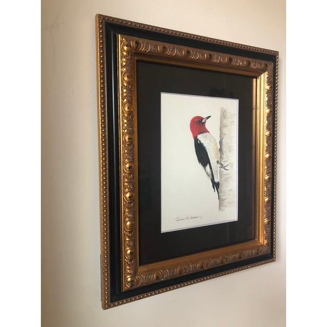 Original Redheaded Woodpecker Watercolor by James Mahoney For Sale - Image 10 of 11