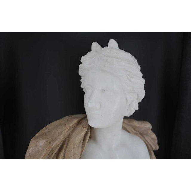 A detailed bust made of two types of marble. The bust is very heavy. Dimensions: height 53 cm, width 42 cm, depth 19 cm