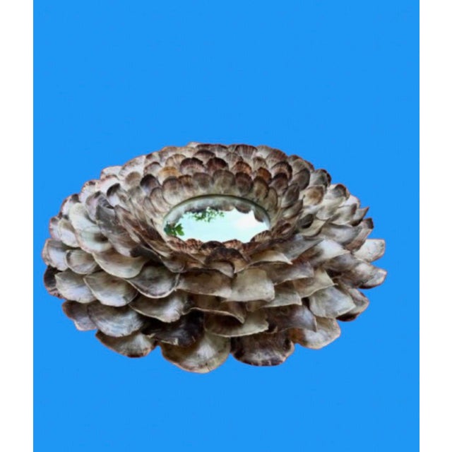 2000 - 2009 Monumental Coastal Oyster Shell Round Mirror For Sale - Image 5 of 9