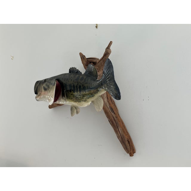 Late 20th Century Largemouth Bass Wall Mount on Driftwood, Rustic Lodge Decor For Sale In Orlando - Image 6 of 12