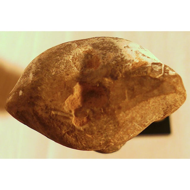 Large Chinese Painted Pottery Figurine of a Court Lady, Han Dynasty For Sale - Image 9 of 9