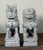 Chinese Stone Guardian Lions Foo Dogs Temple Sculptures - A Pair For Sale - Image 4 of 9