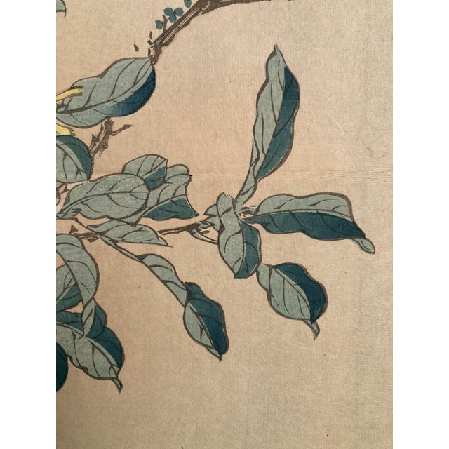 Nakayama Sūgakudō, Verdier Et Gardénia, 1859, Woodblock Print For Sale - Image 11 of 13