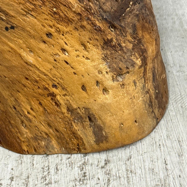 Mid 20th Century Honey Brown Twisted Free-Form Tree Trunk Side Pedestal Table For Sale - Image 9 of 9