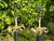 Stiffel Vintage Stiffel Neoclassical Bronze Table Lamps, Pair For Sale - Image 4 of 12