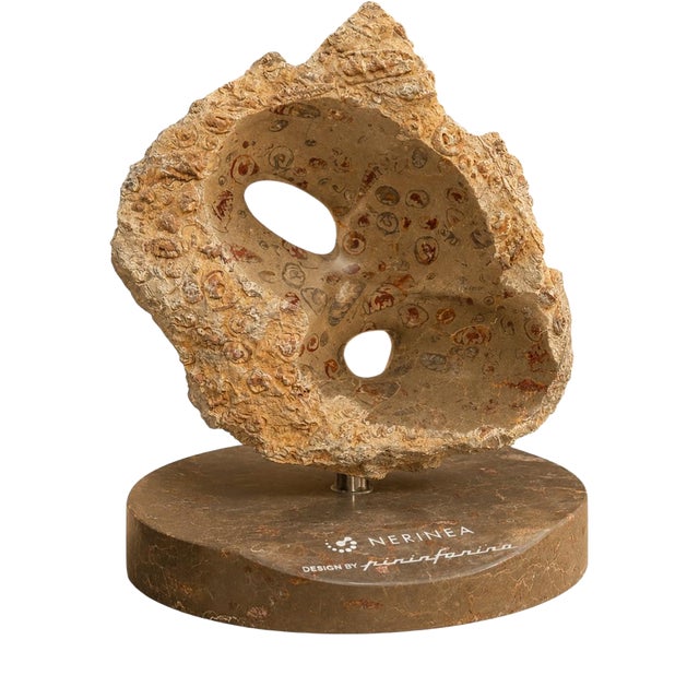 Axis Rock in Jurassic Fossil Stone by Nerinea For Sale