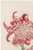 A refined example of late 19th-century Japanese botanical illustration, this vintage art print reproduction features Pink...