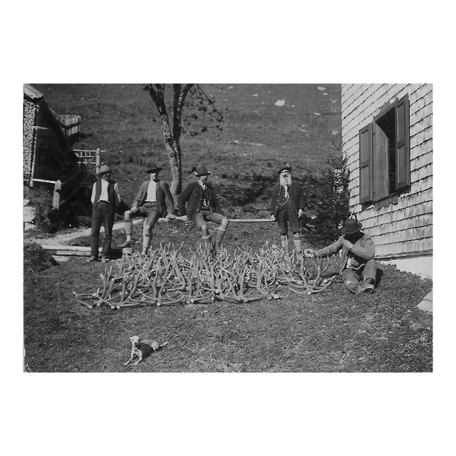Antique European Antlers Photograph For Sale