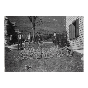 Antique European Antlers Photograph