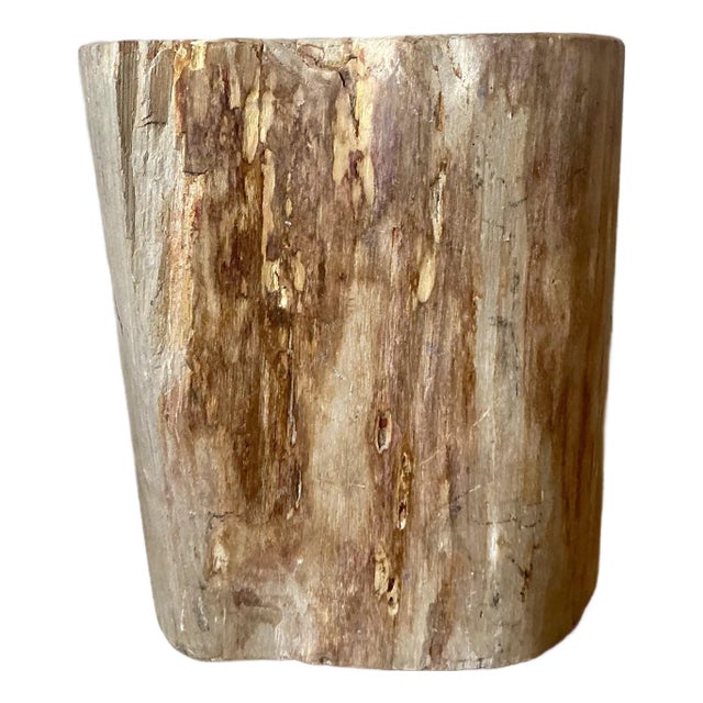 Vintage Boho Petrified Wood Stool For Sale