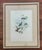 Antique Original J Gould H C Richter Hummingbird "Chrysuronia Josephinae" Framed Lithograph For Sale - Image 4 of 14
