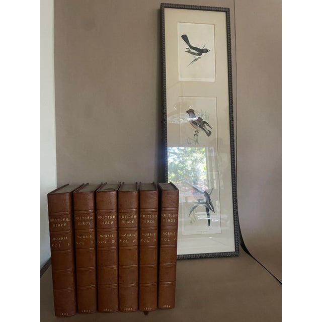 English 1990s Morris History of British Birds Books, 6 Volumes For Sale - Image 3 of 3