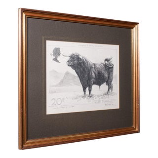 Vintage Stamp Proof Sketch, English, Barry Driscoll, Welsh Black Bull, Framed For Sale